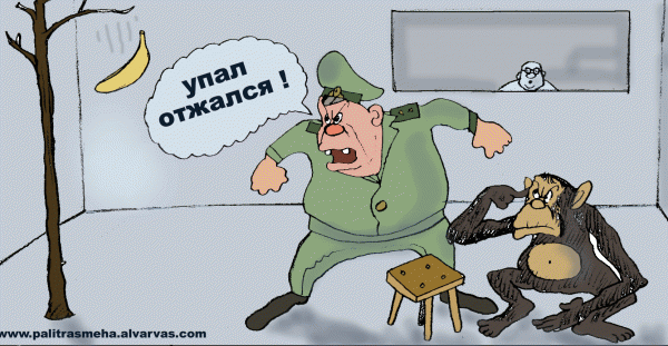 http://anekdot.ru/i/caricatures/normal/9/8/7/1249642532.gif