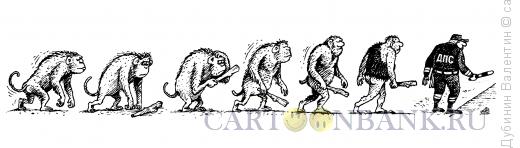 Карикатура: Эволюция, Дубинин Валентин