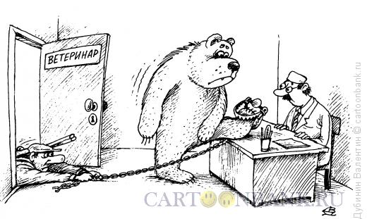 Карикатура: Медведь у ветеринара, Дубинин Валентин