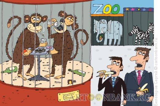 Карикатура: Приматы, Белозёров Сергей