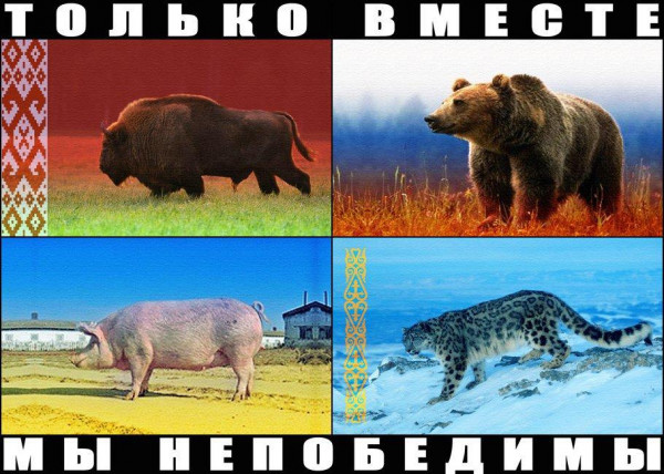 Мем, Кот Отморозкин