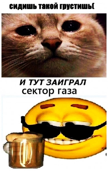 Мем, Кот Отморозкин