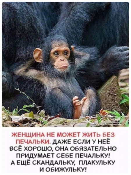 Мем, Jethro