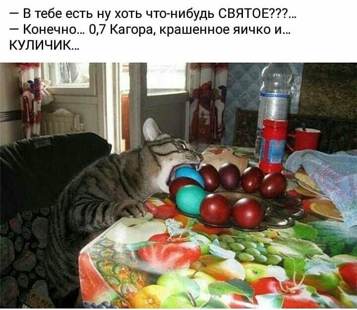 Мем: Скоро на всех кухнях страны )), Казачка26