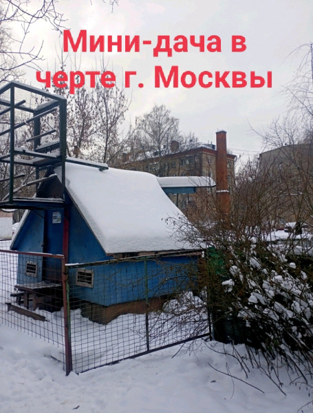 Мем, Урразовский