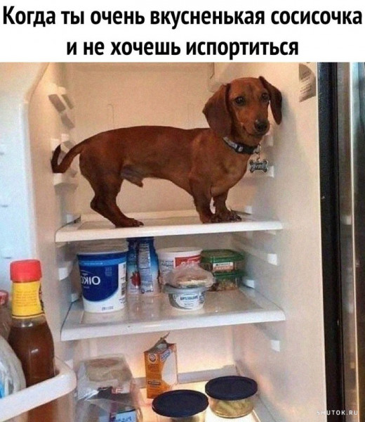 Мем, Джокер