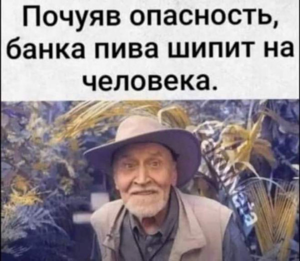 Мем, птица