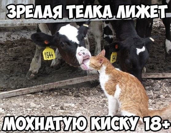 Девушка сидит в телефоне (66 фото)