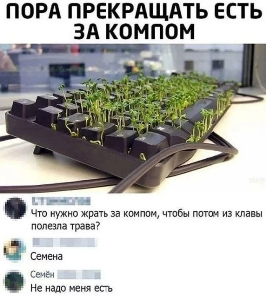 Мем, Брюттон