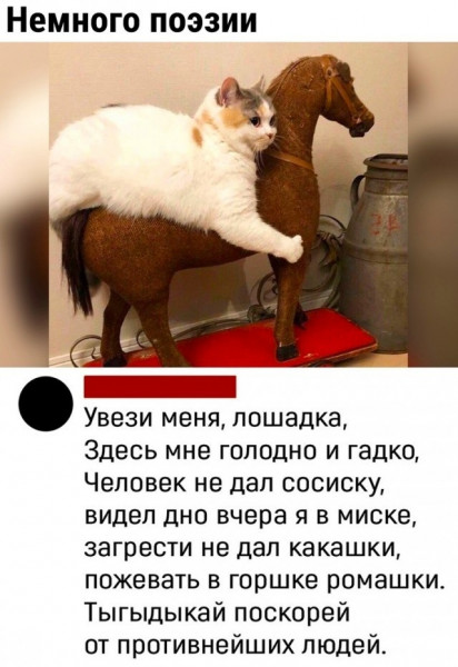 Мем