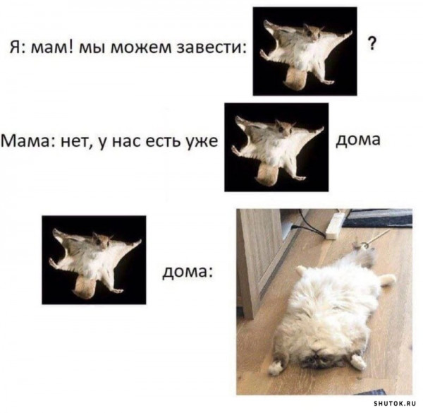 Мем, Джокер