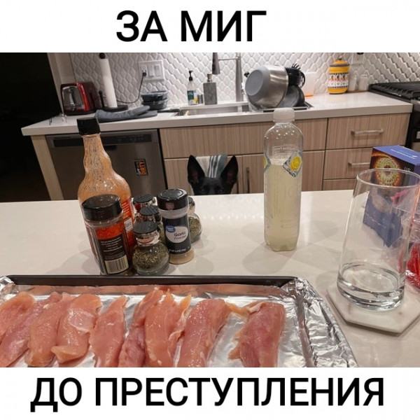 Мем, Рысь