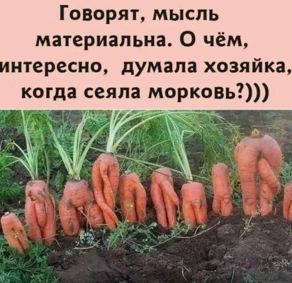 Морковь растягивает анус фото - chelmass.ru