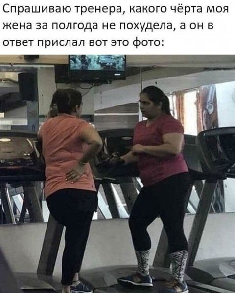 Мем, Брюттон