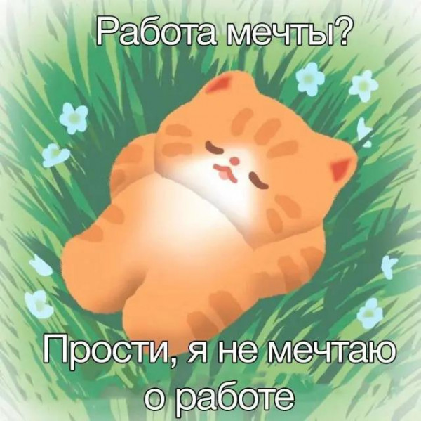 Мем, beauty_foo_ll