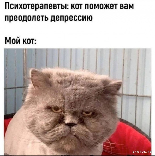 Мем, Джокер