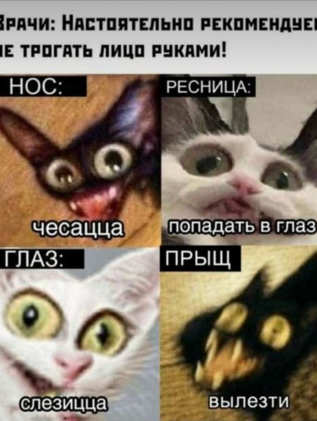 Мем, Микки Маус