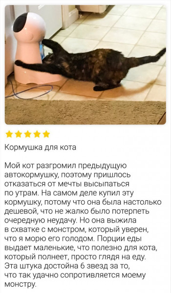 Мем: Кормушка для кота, henh