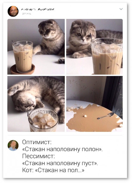 Мем, Микки Маус