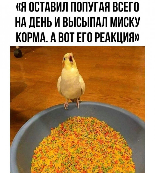 Мем: Это все мне ?, henh