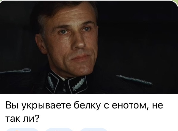 Мем, Максим Камерер