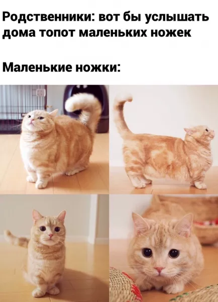 Мем, Микки Маус