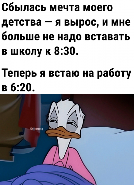 Мем, Просто так ххх