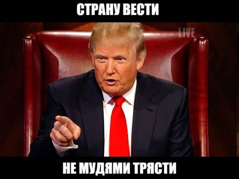 Мем: Дональд Трамп, MrGreen0909