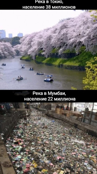 Мем, Рысь