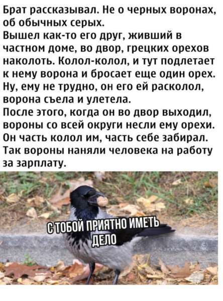 Мем