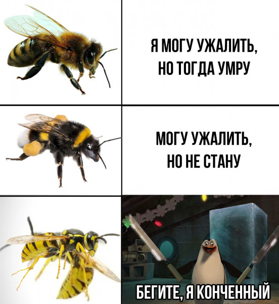 Мем, henh