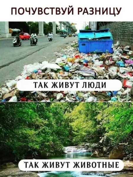 Мем, Тьмуша