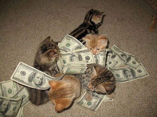 Мем: Две штуки баксов - котам под хвост, Леонид Хлыновский
