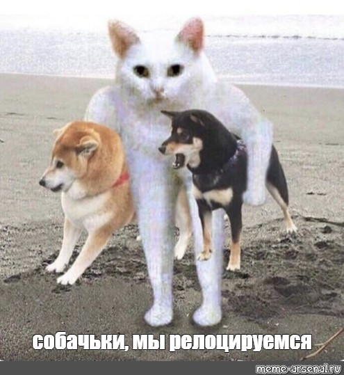 Мем, Микки Маус