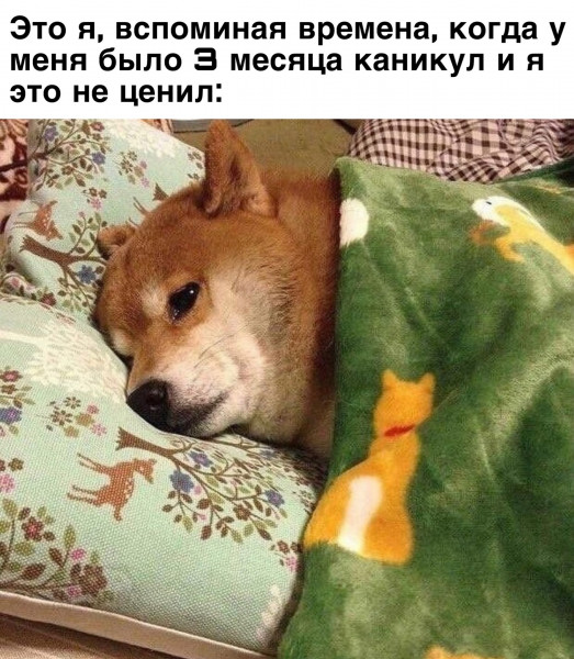 Мем