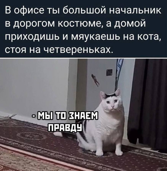 Мем