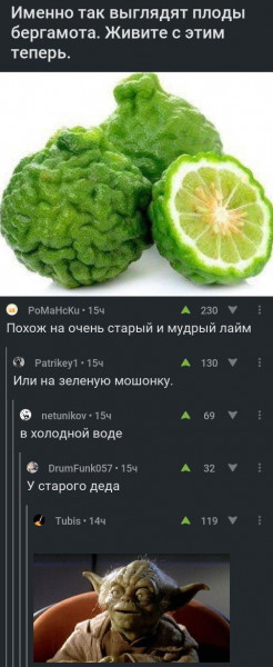 Мем, Леонид Хлыновский