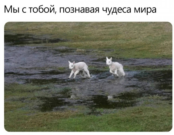 Мем