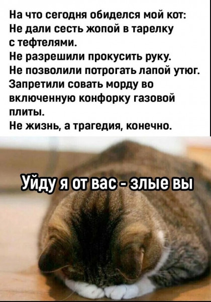 Мем