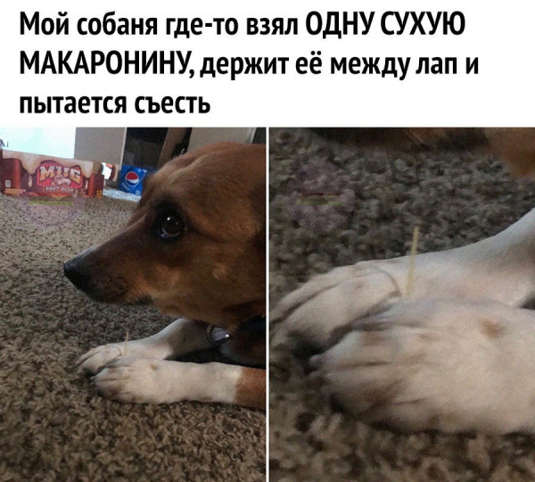 Мем