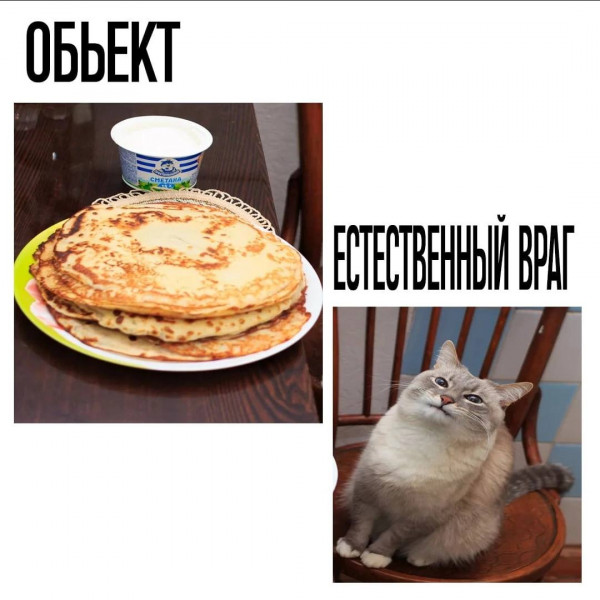 Мем, Микки Маус